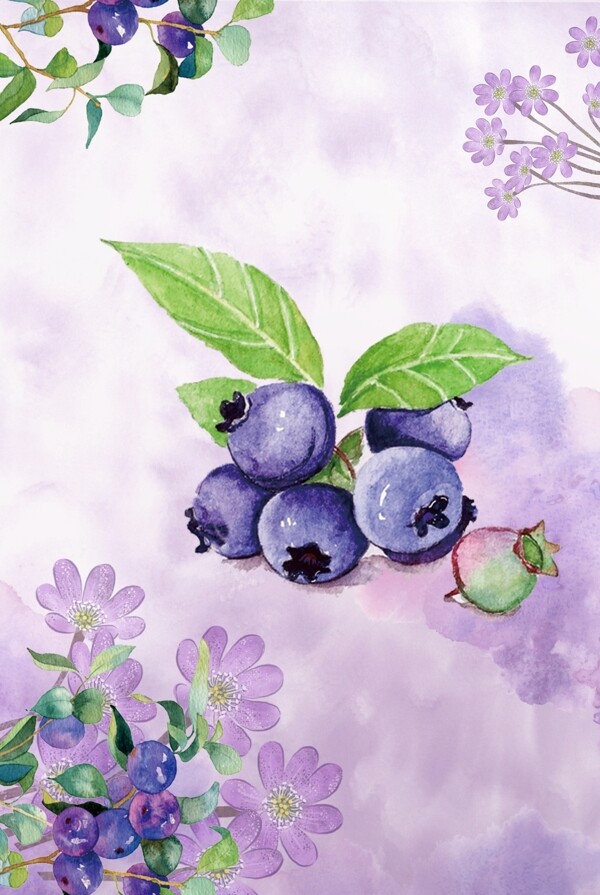 夏日水果蓝莓手绘背景