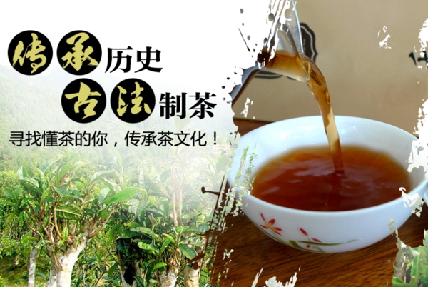 普洱茶淘宝海报