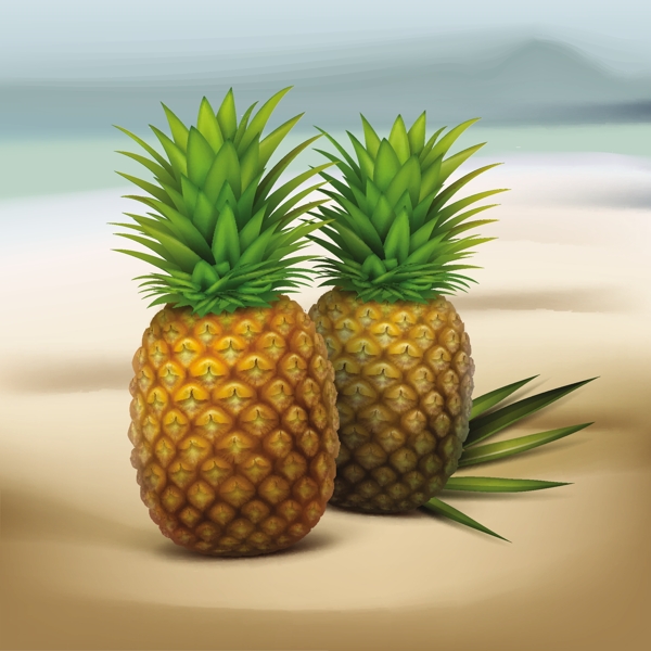 沙滩上的2个新鲜菠萝矢量图