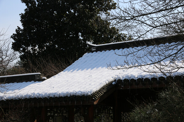 屋顶白雪