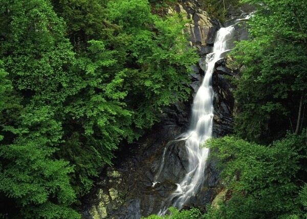 高山流水图片