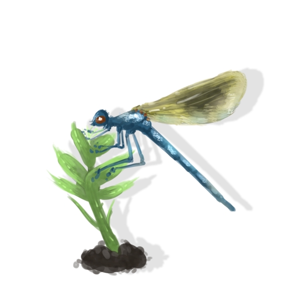 昆虫手绘中国风蜻蜓元素免扣可商用素材