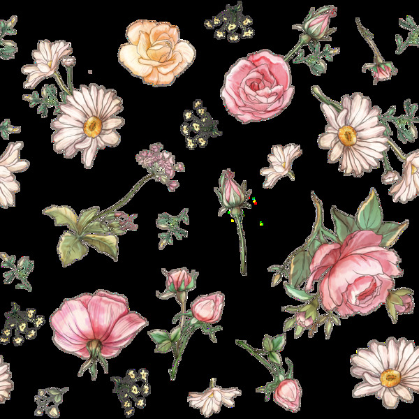 手绘唯美玫瑰花透明装饰图案