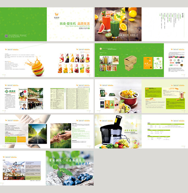 绿色健康食品招商计划书画册