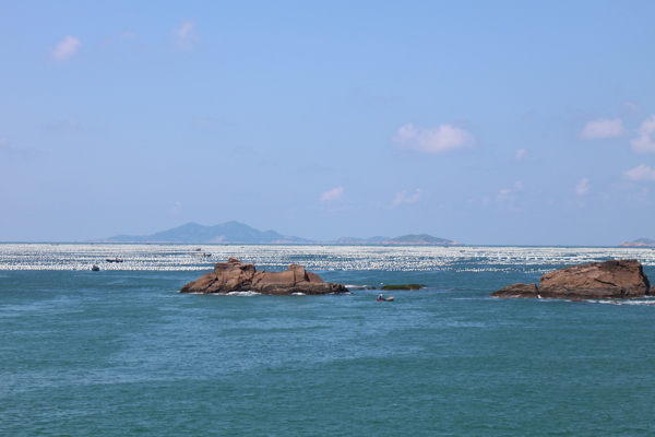 枸杞岛的海面