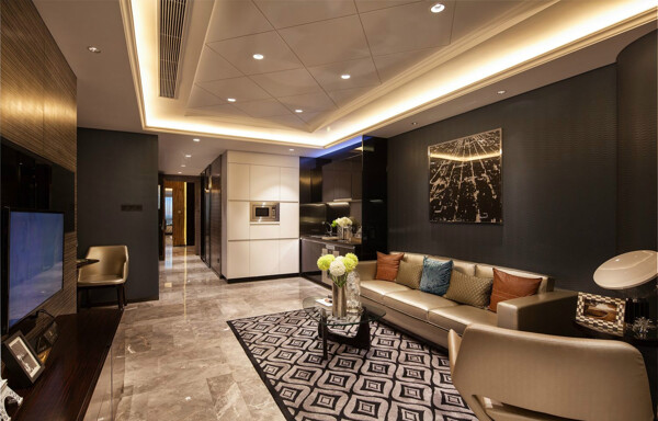 现代时尚质感客厅黑色花纹地毯室内装修图