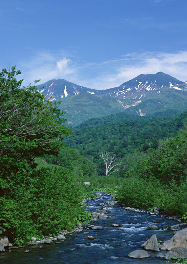 高山流水