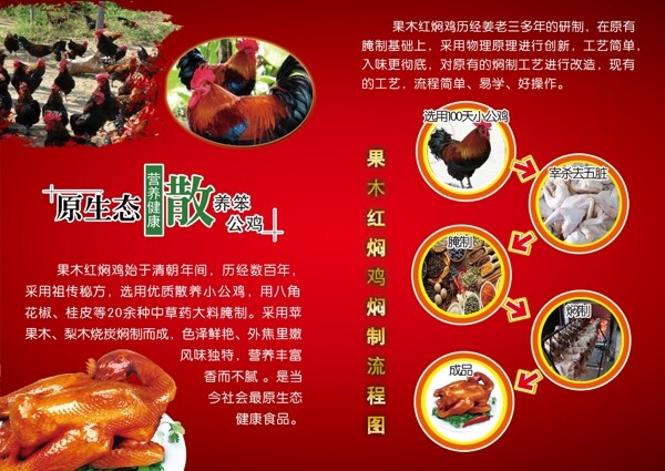 红焖鸡原生态散养鸡两折页美食