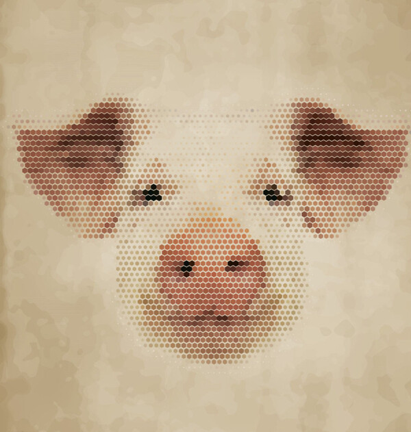 动物头像猪图片