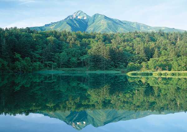 树植物水风景山