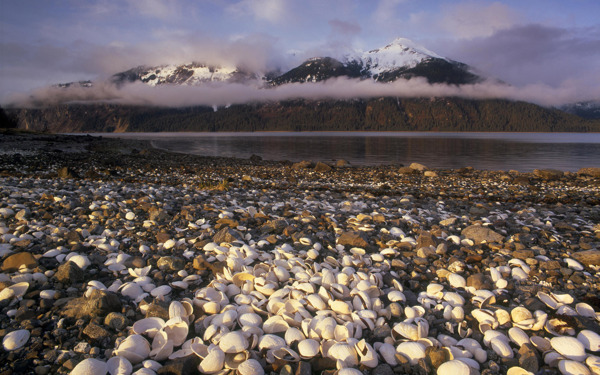 美国阿拉斯加美丽的湖光山色风景