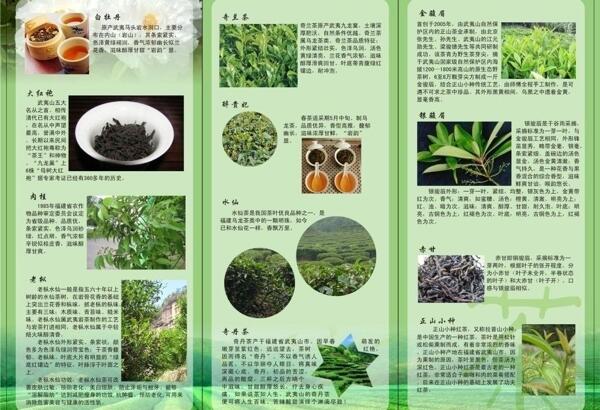 茶叶的简述图片