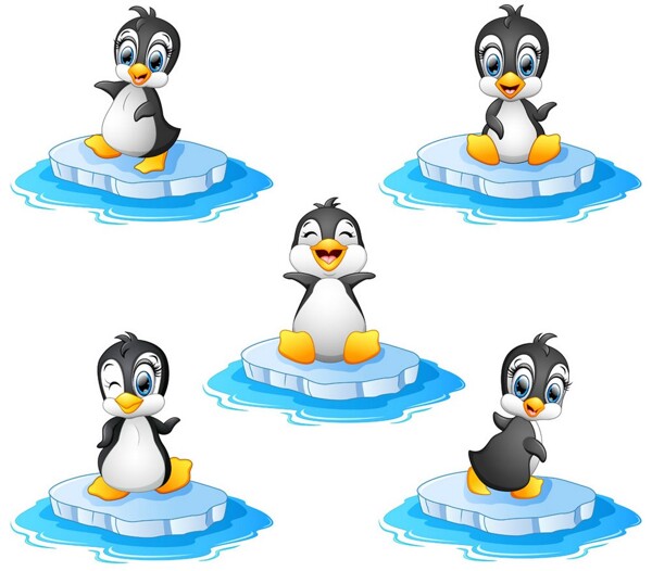 浮冰上的企鹅图片