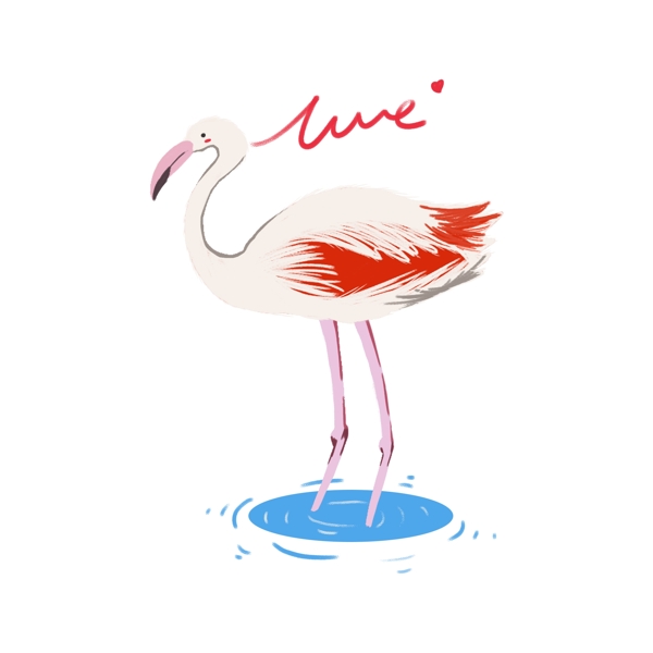 原创手绘动物火烈鸟可爱爱情鸟插画素材