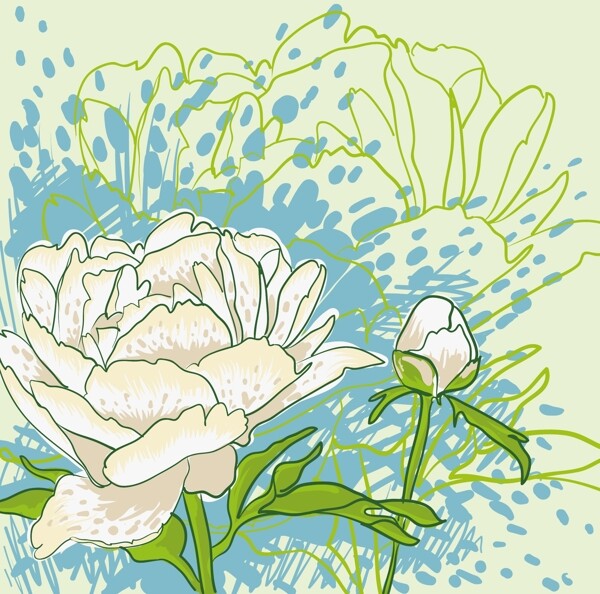 清新白色花卉背景