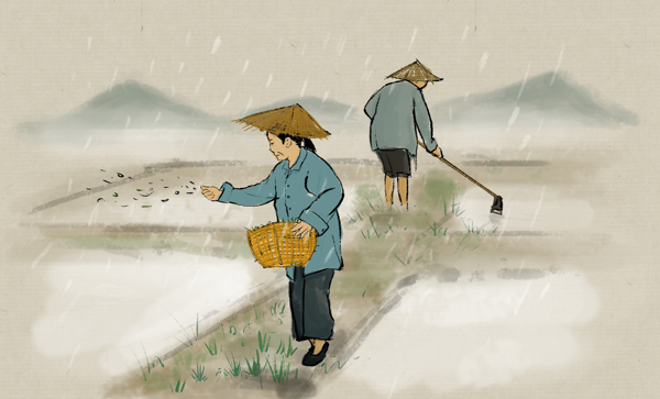 谷雨传统节日插画卡通背景素材图片