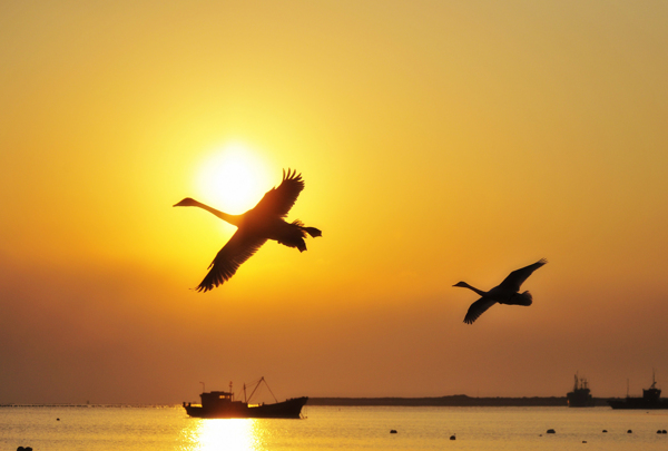 海上夕阳图片