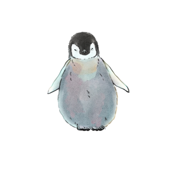 手绘水彩绘本卡通企鹅