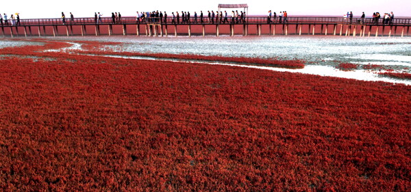 迷人的红海滩图片