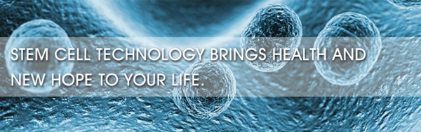 干细胞研究医学科技