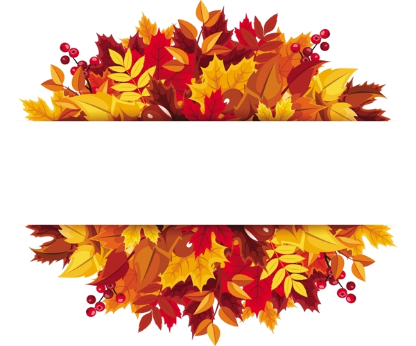 美丽的秋天的树叶矢量图形背景02