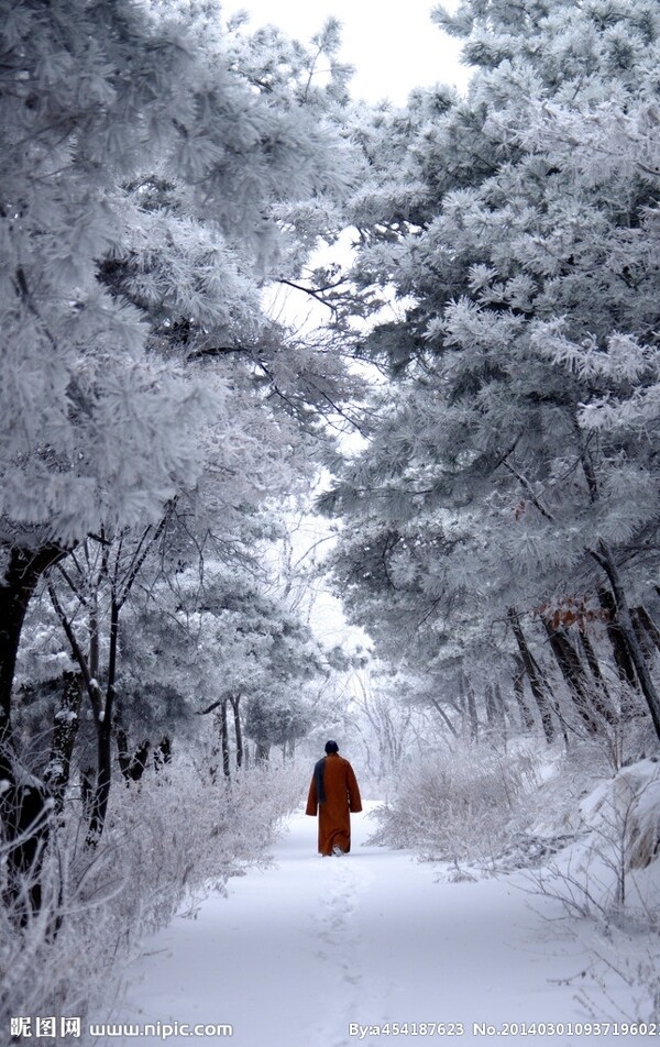 渑池韶山雪景图片