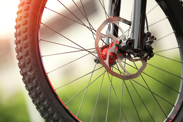 自行车轮子图片