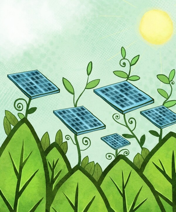 太阳能绿叶图片