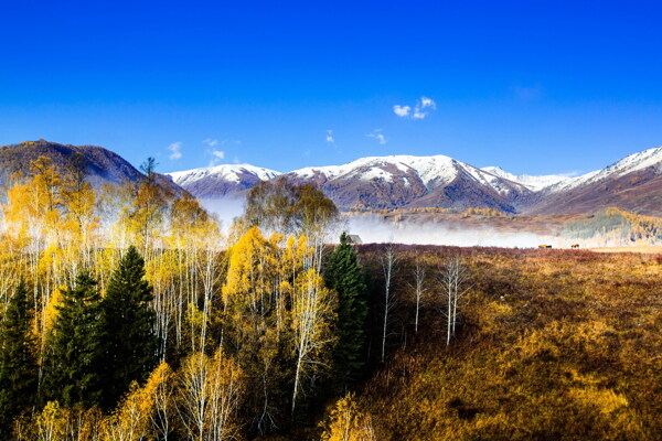 唯美的中国北疆雪山图片