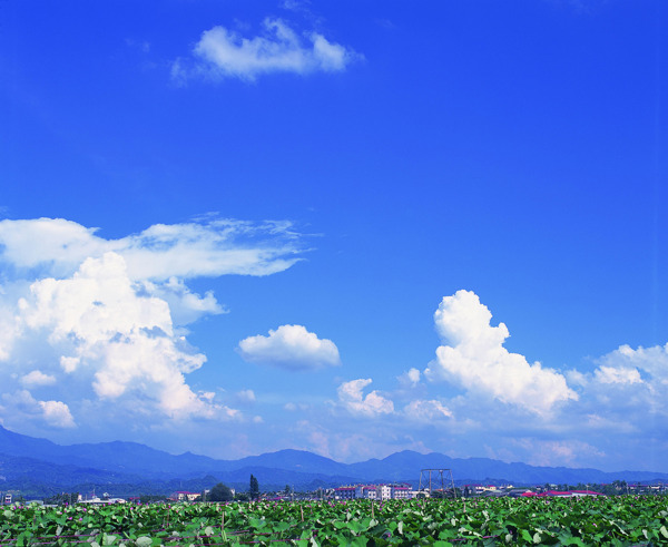 田园风光