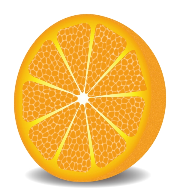 橘子矢量图片