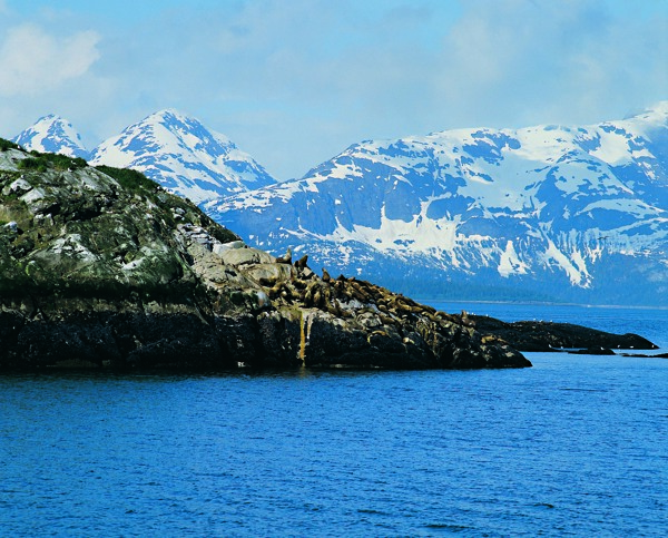 山水风景田园风景