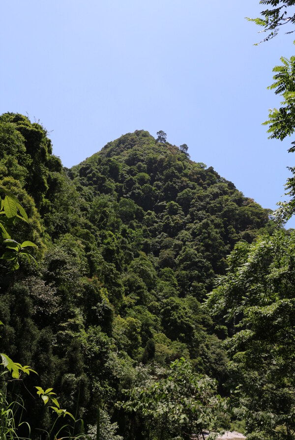 峨眉山图片