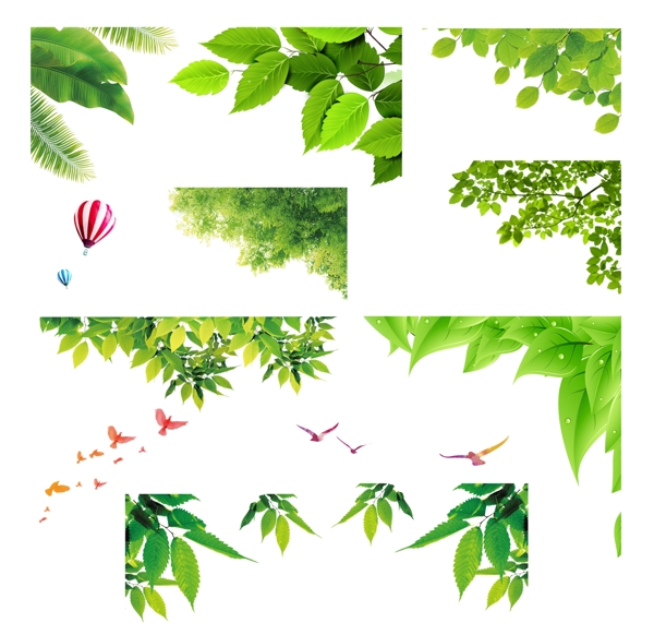 树叶装饰元素绿叶图片