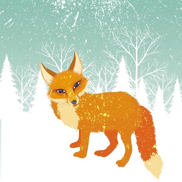 冬季雪地里橘色狐狸背景图