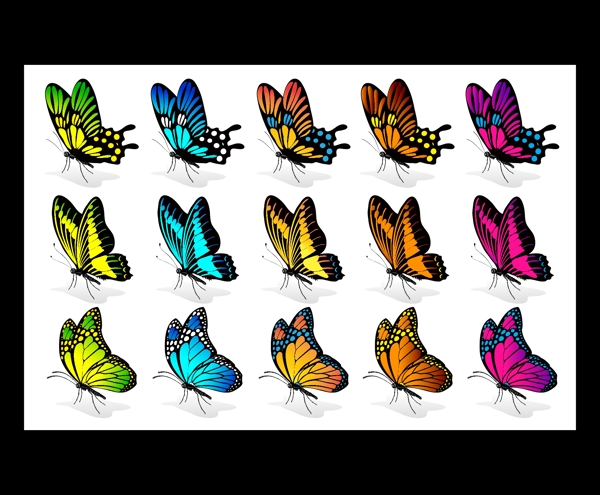 彩色蝴蝶背景矢量图