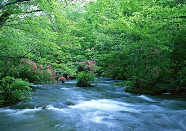 高清唯美山川流水绿树