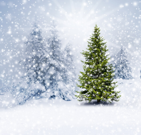 星星圣诞树背景图片