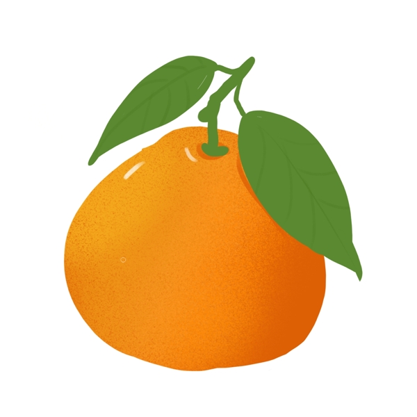 水果橙子橘子插画