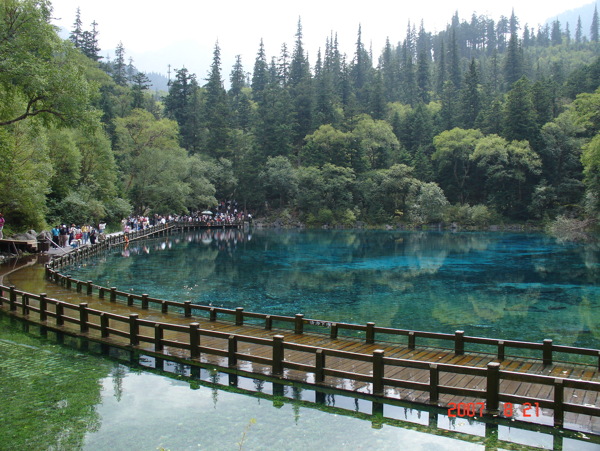 树植物水风景山