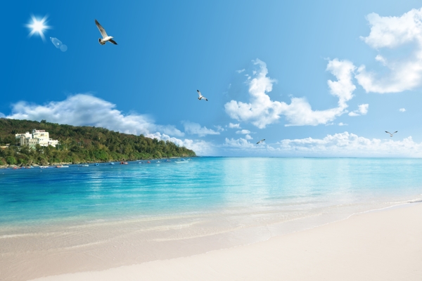 沙滩海洋岛屿海鸥