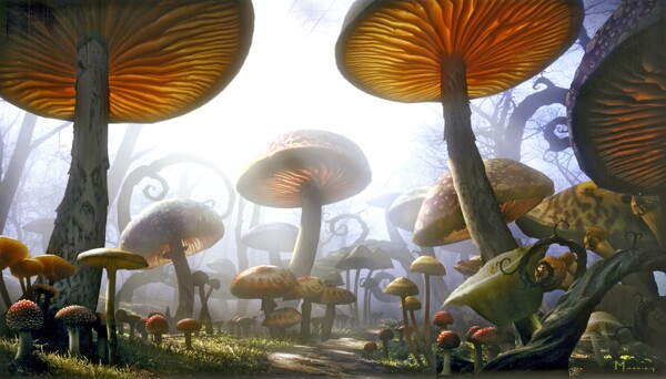 高清梦幻蘑菇森林