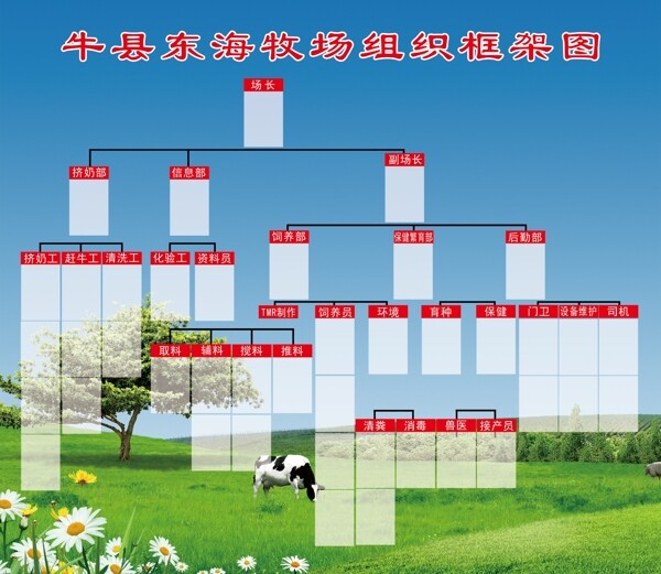 牛县东海牧场组织框架图