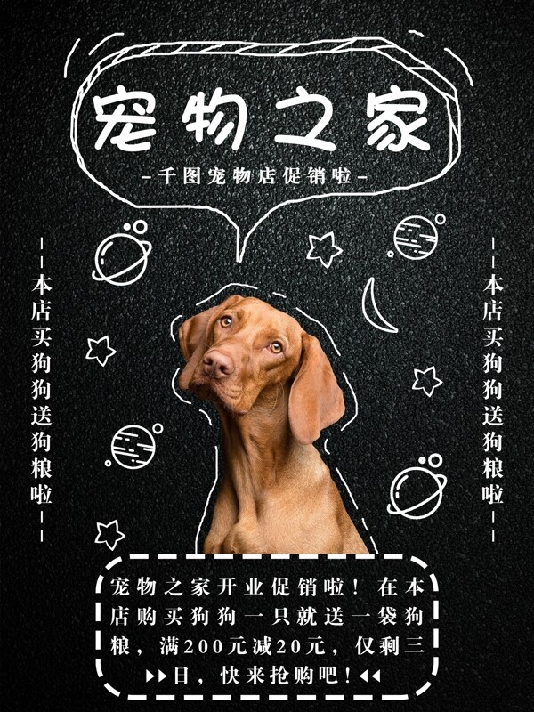 简约手绘风黑色背景宠物狗促销海报