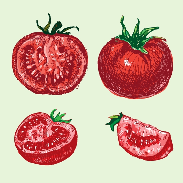 手绘番茄西红柿插图