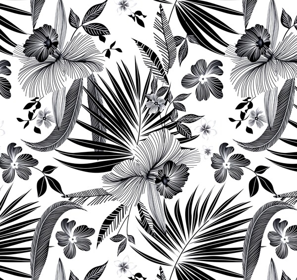 线条花黑白花花卉背景图片