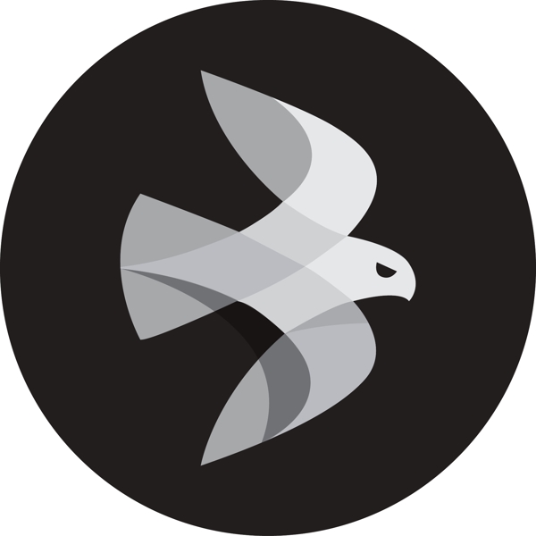 白鸽鸽子logo鸟图片