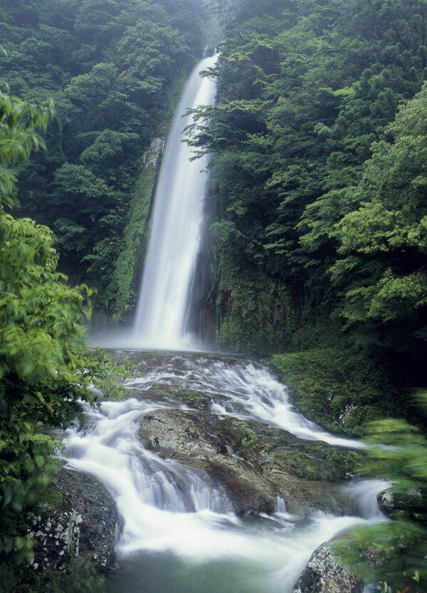 青山绿树瀑布图片
