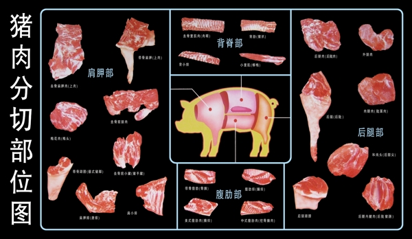 猪肉分解图图片