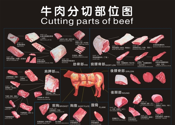 牛肉分割图